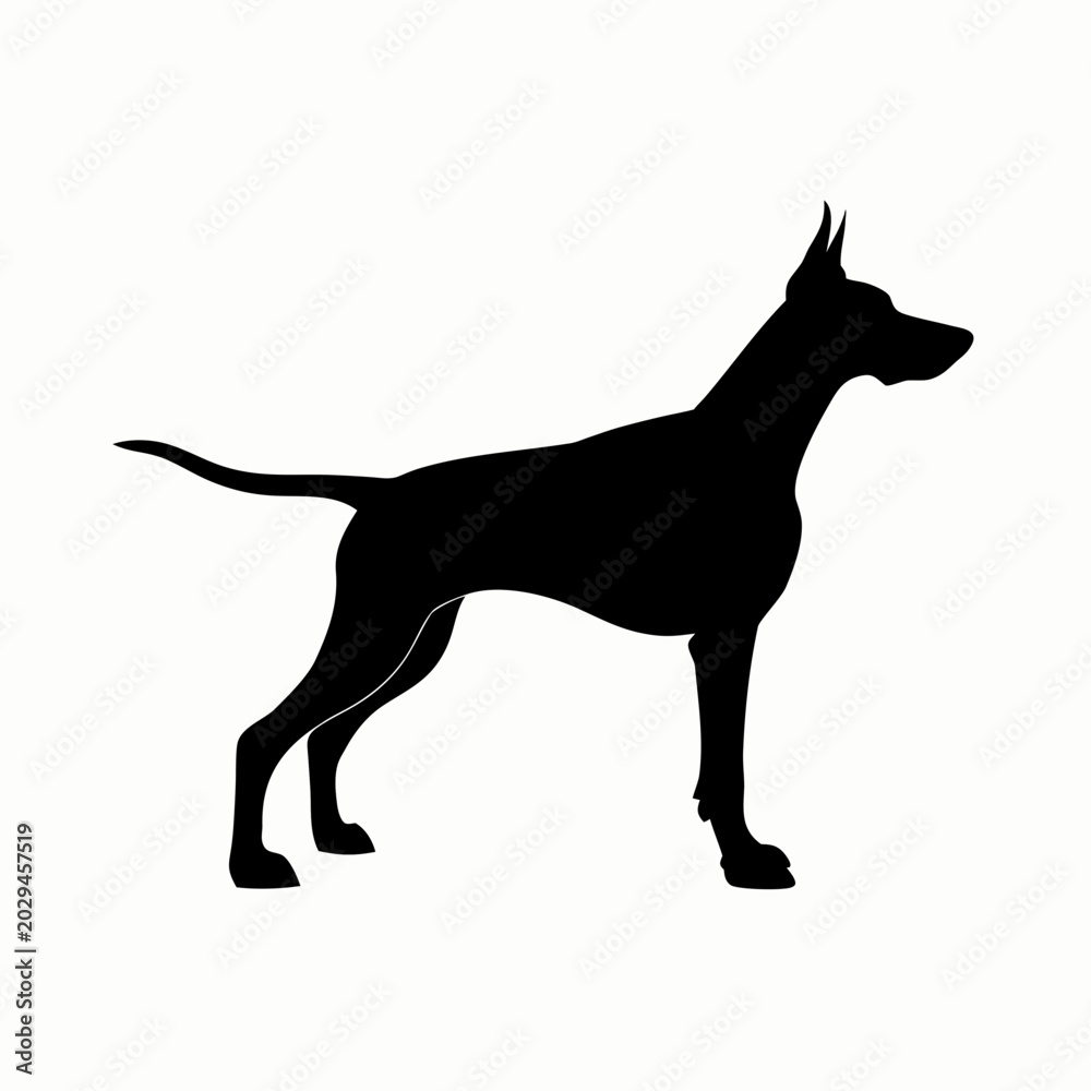 Fototapeta premium black dog silhouette