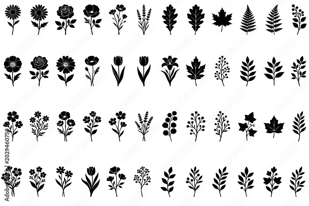 Fototapeta premium Minimalist Black Botanical Silhouettes of Flowers Leaves and Herbs