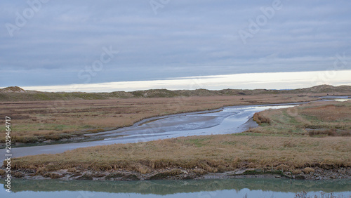 creek in a salt marsh with the sky reflecting in the water on the flemish coast in Het Zwin nature reserve, Knokke, Flanders, Belgium 