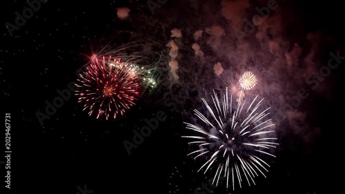 floral fireworks light up sky, spectacular floral fireworks illuminate night during festival celebration, vibrant explosive displays with shimmering sparks enthrall crowd at riverside celebration