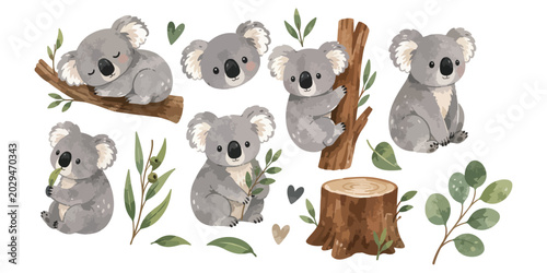 Photography watercolor koala collection