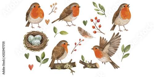 Bild auf Leinwand watercolor cute robin bird collection