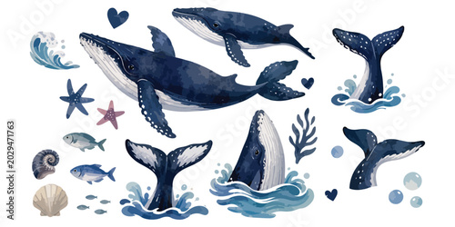 Foto Watercolor Humpback Whale Clipart: Deep Sea Cetacean Marine Wildlife Set