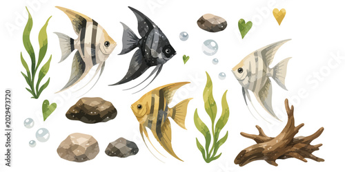 Schilderij op canvas watercolor angelfish collection