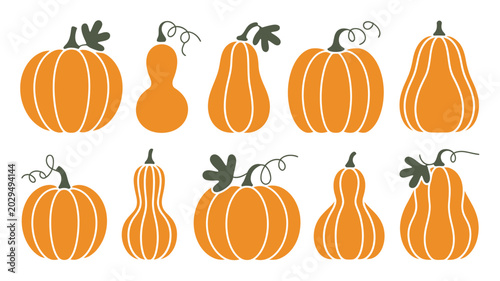 Canvas-taulu Variety of orange pumpkins and gourds flat vector illustration with stems on whi