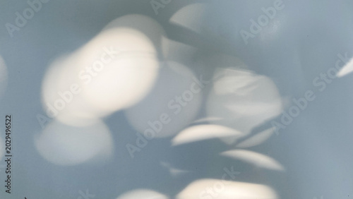 Light and shadow silhouette overlay on white wall,Abstract shadow leaves and light effect.