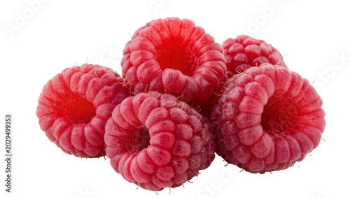 Tableau sur toile Pile of fresh ripe red raspberries close-up