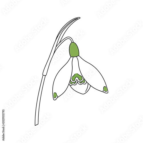 Snowdrop Flower Spring Season Symbol Commercial Art