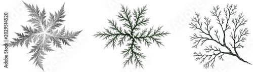 A striking fractal design in dark forest green against a pristine white background features intricate, high-contrast branches resembling frost or mycelium, ideal for precise vector tracing without