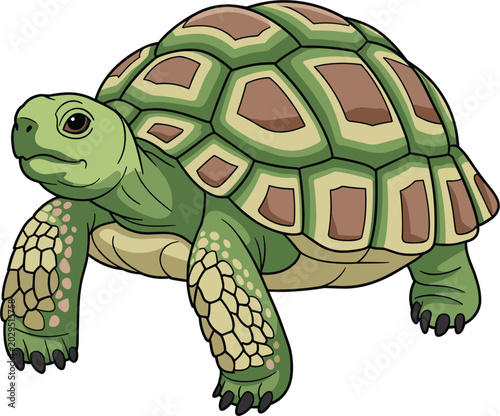 Foto Cute green tortoise vector illustration, isolated brown turtle animal character