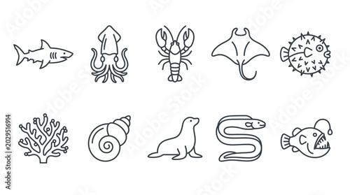 Bild auf Leinwand Collection of marine animal icons in a simple line art style, representing sea life