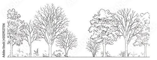 Quadro su tela Minimalist tree line vector illustration, black and white forest landscape sketc