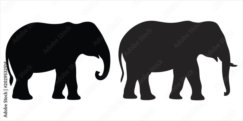 Fototapeta premium Two Black Elephant Silhouettes Side by Side on White Background vector illustration