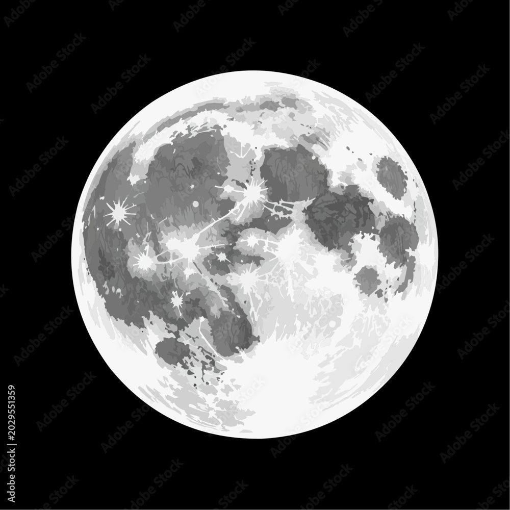 Fototapeta premium Moon vector art illustration, isolated on dark background. 