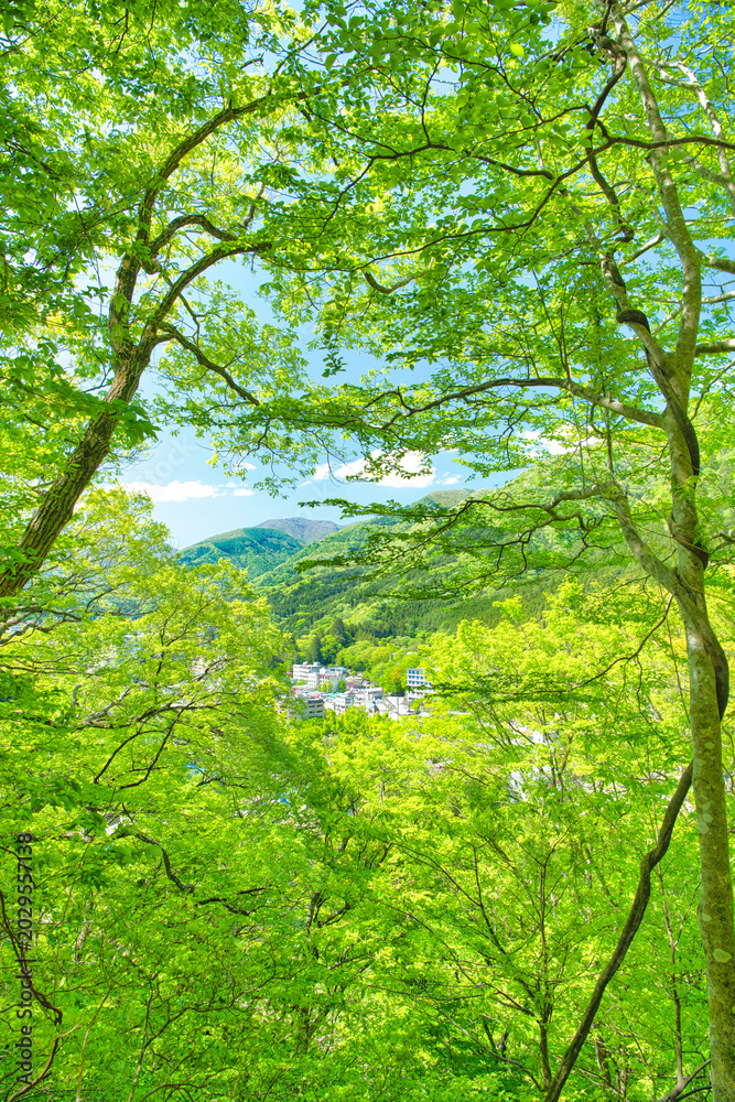 Fototapeta premium 栃木県那須塩原市 自然豊かな塩原温泉の風景