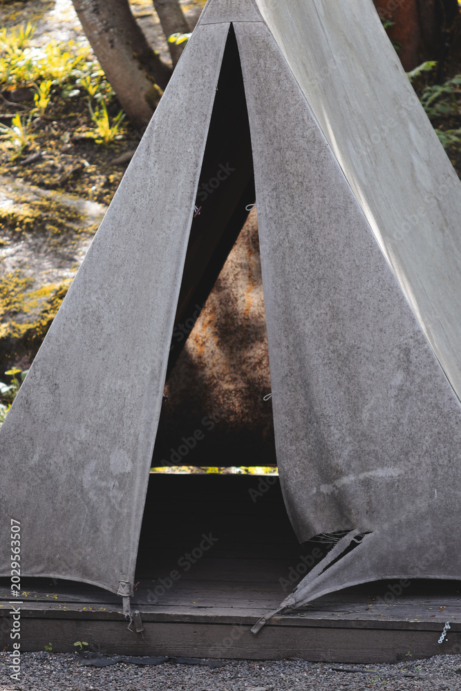 Fototapeta premium A large brown bear sits comfortably inside a tent