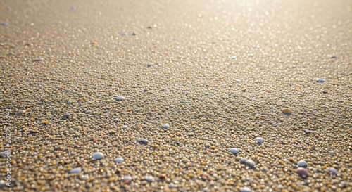 Sandy Beach Texture with Small Pebbles and Sunlight Reflection.