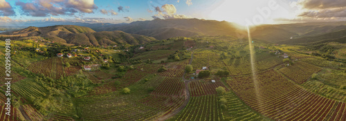 Cuadro en lienzo Aerial panorama of vineyards and mountain village at sunset