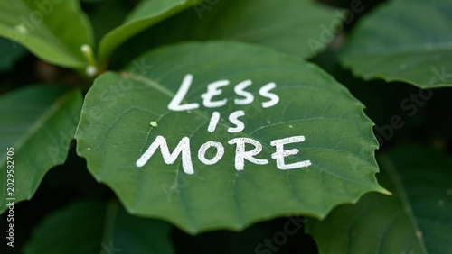 'Less is more' note on green leaf