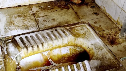 Dirty Indian Style Toilet Seat in Public Washroom Showing Poor Hygiene, Sanitation Issues, Unclean Conditions and Health Risks