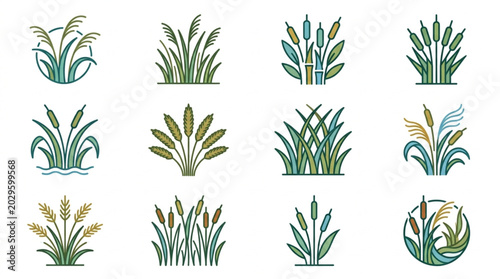 Collection of stylized wetland plants and reeds illustrations.