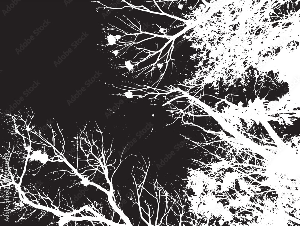 Fototapeta premium Black and White Tree Branch Overlay Grunge Abstract Texture Background