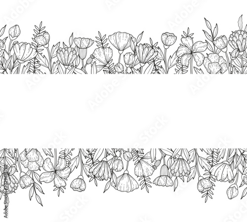 Fotografie Botanical ink wedding seamless borer with wildflowers on white background