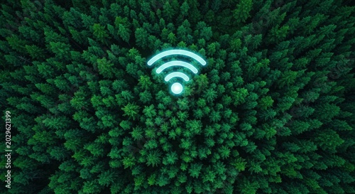 Wifi signal in forest trees.