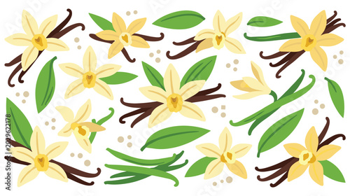 Foto Set of colorful flat vanilla orchid flower and bean pod illustrations