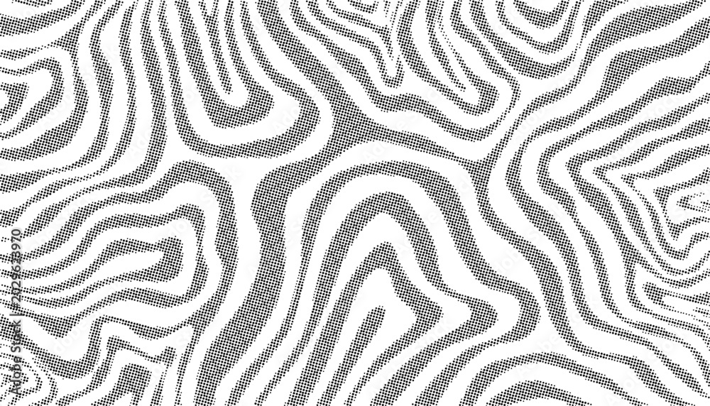 Fototapeta premium Abstract Halftone Organic Topographic Contour Line Seamless Black and White Curved Flowing Maze Repeat Pattern Background