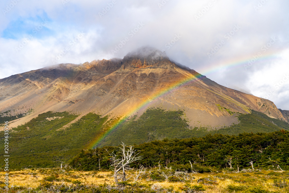 Fototapeta premium mountains in patagonia