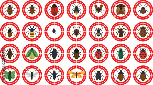 Tableau sur toile Insect target illustrations with beetles, flies, bees, spiders, ladybugs, and pe