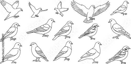 Bild auf Leinwand Bird silhouettes collection flying and perching doves pigeons and sparrows isola