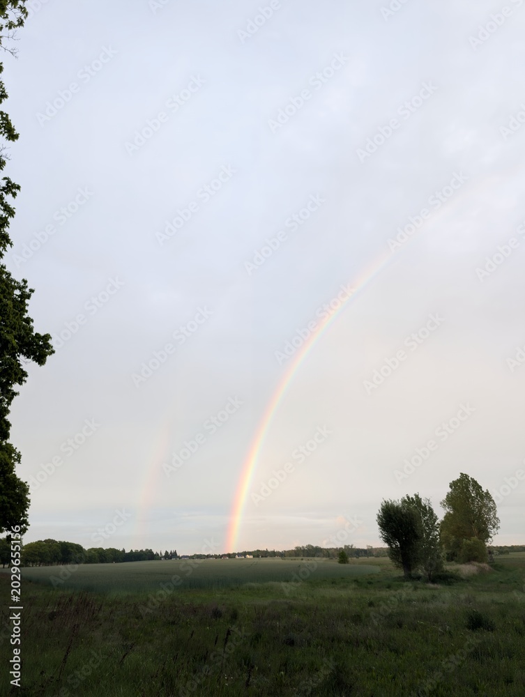 Fototapeta premium A breathtaking rainbow arches across a vast, overcast sky above a tranquil rural landscape, with fields stretching towards the horizon
