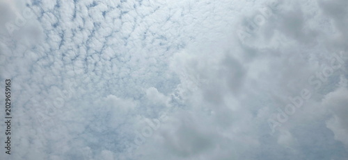 Bild auf Leinwand Altocumulus and Cirrocumulus are round, white or slightly gray masses or patches in the sky that appear to be clustered or arranged in groups