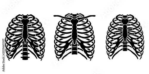 Bild auf Leinwand Simple vector illustration of human thoracic skeleton for medical infographics
