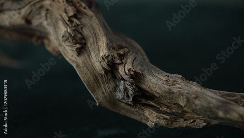 Weathered driftwood branch with flowing grain and organic macro texture