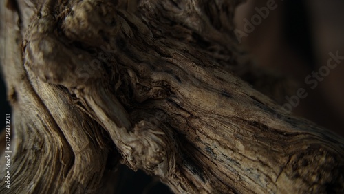 Twisted driftwood texture with sculptural organic wood grain details