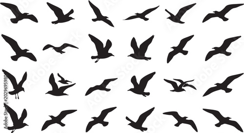 Collection of flying seagull black silhouettes isolated on a clean white background.