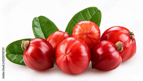red guarana fruit isolated on white background fresh guarana berry red isolated transparent