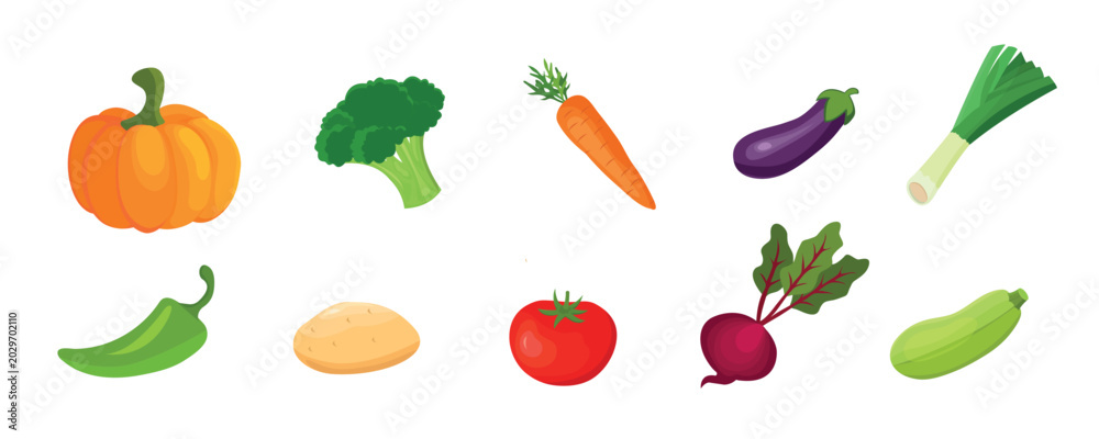 Fototapeta premium vegetables collection, isolated elements, vector design