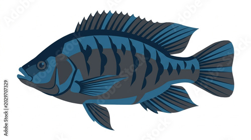Foto Blue striped cichlid fish illustration isolated on white background