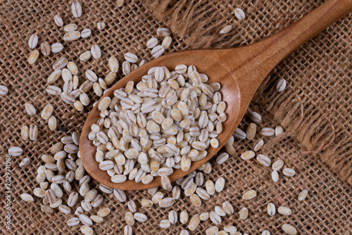 Фотография Pearl barley grains on a rustic sackcloth texture with a wooden spoon holding a