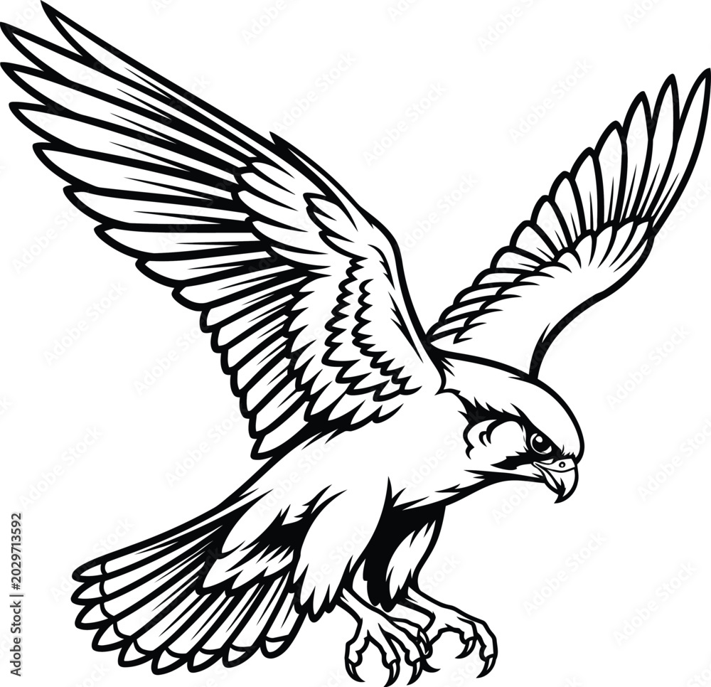 Fototapeta premium Flying Bird of Prey Illustration.