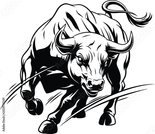 Obraz na płótnie Black and white angry bull charging.