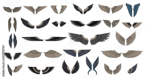 Large set of stylized bird and angel wings in various shapes and colors ranging from dark feathers to bright blue.
