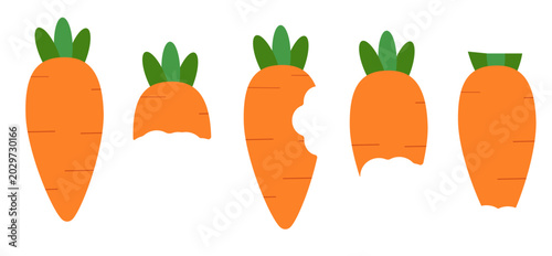 Obraz na płótnie Bitten carrot stages vector set
