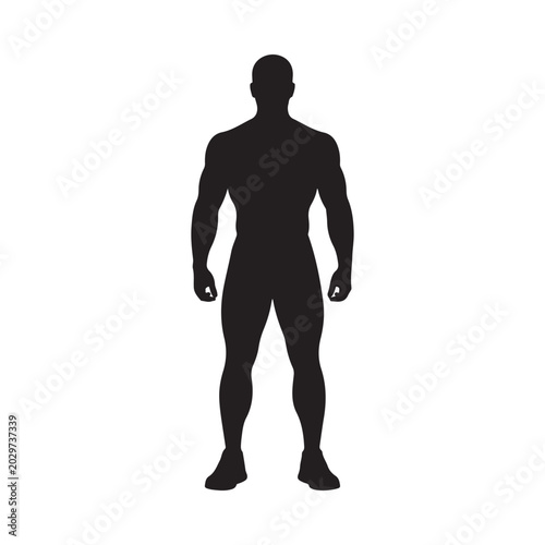 muscular man silhouette on white background