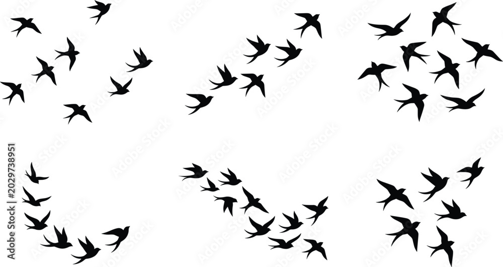 Fototapeta premium Minimal Flying Swallow Bird Silhouette Collection Vector Set for Nature, Freedom, Tattoo and Design Projects