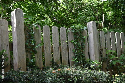 Gartenzaun
